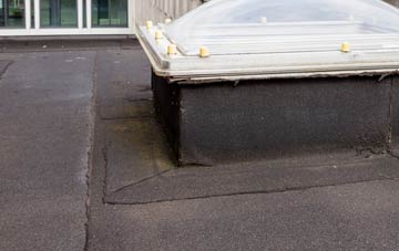 disadvantages of Henllys Vale flat roofs